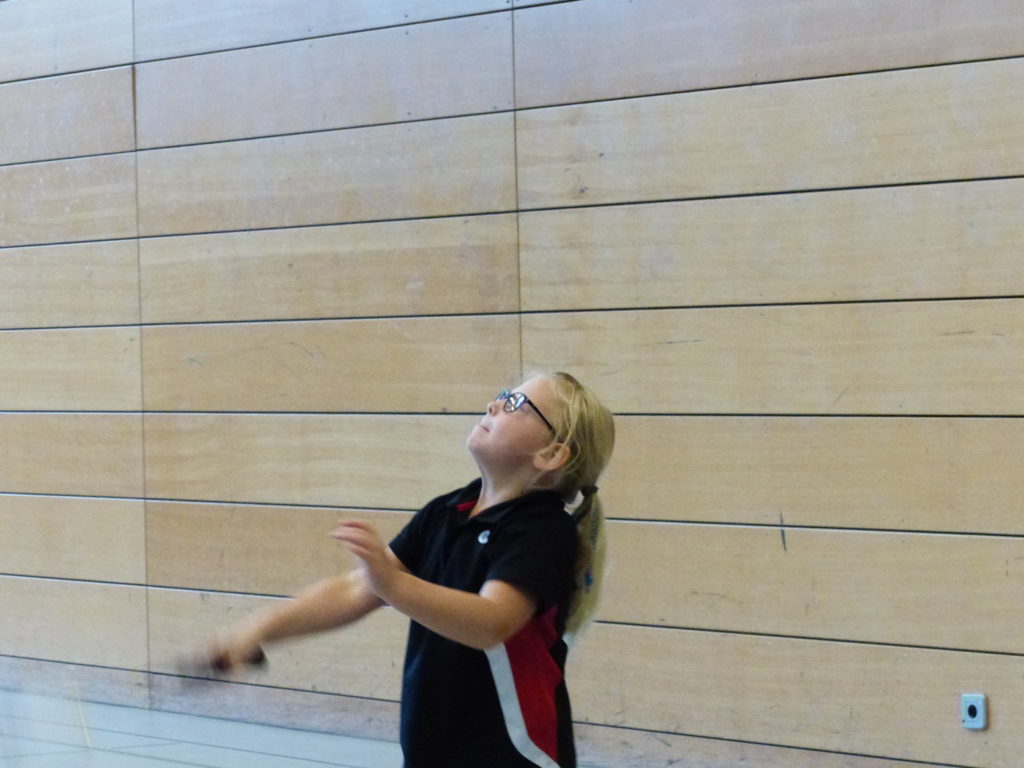 1. Rendsburger Badmintonclub