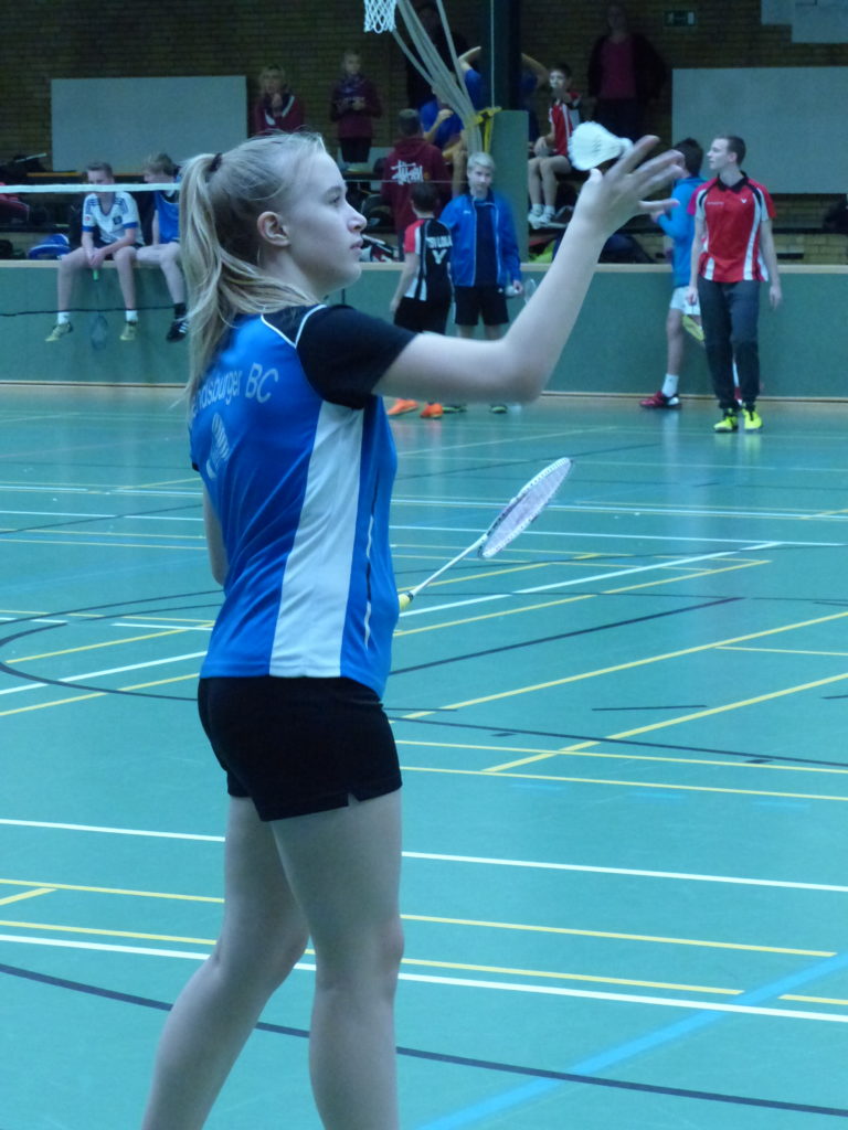 1. Rendsburger Badmintonclub
